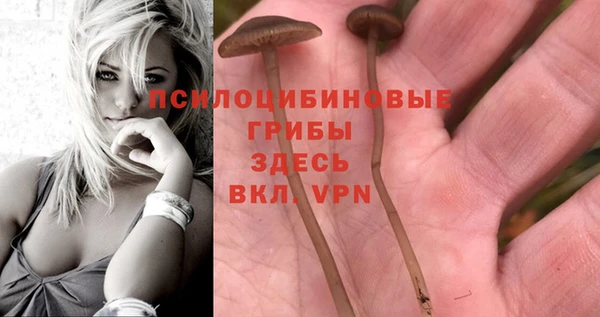 кокаин Аркадак