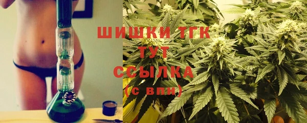 гашик Алзамай