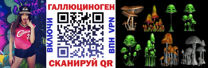KRAKEN   Неман  Псилоцибиновые грибы ЛСД  где найти  
